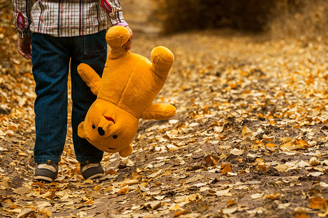 Фото: pixabay.com