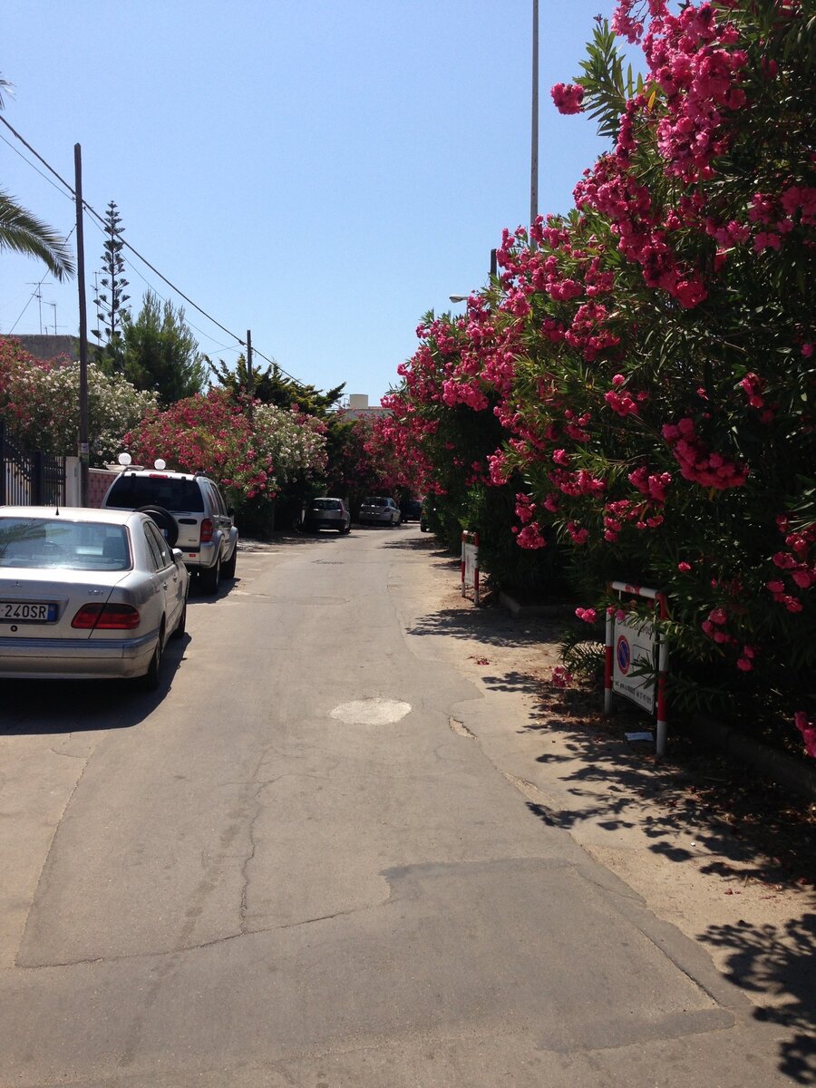 Поселок Байя-Верде, почти все улицы утопают в зелени и цветах