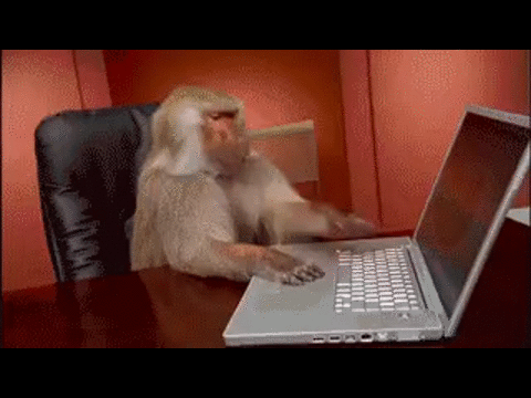 Источник: GIPHY