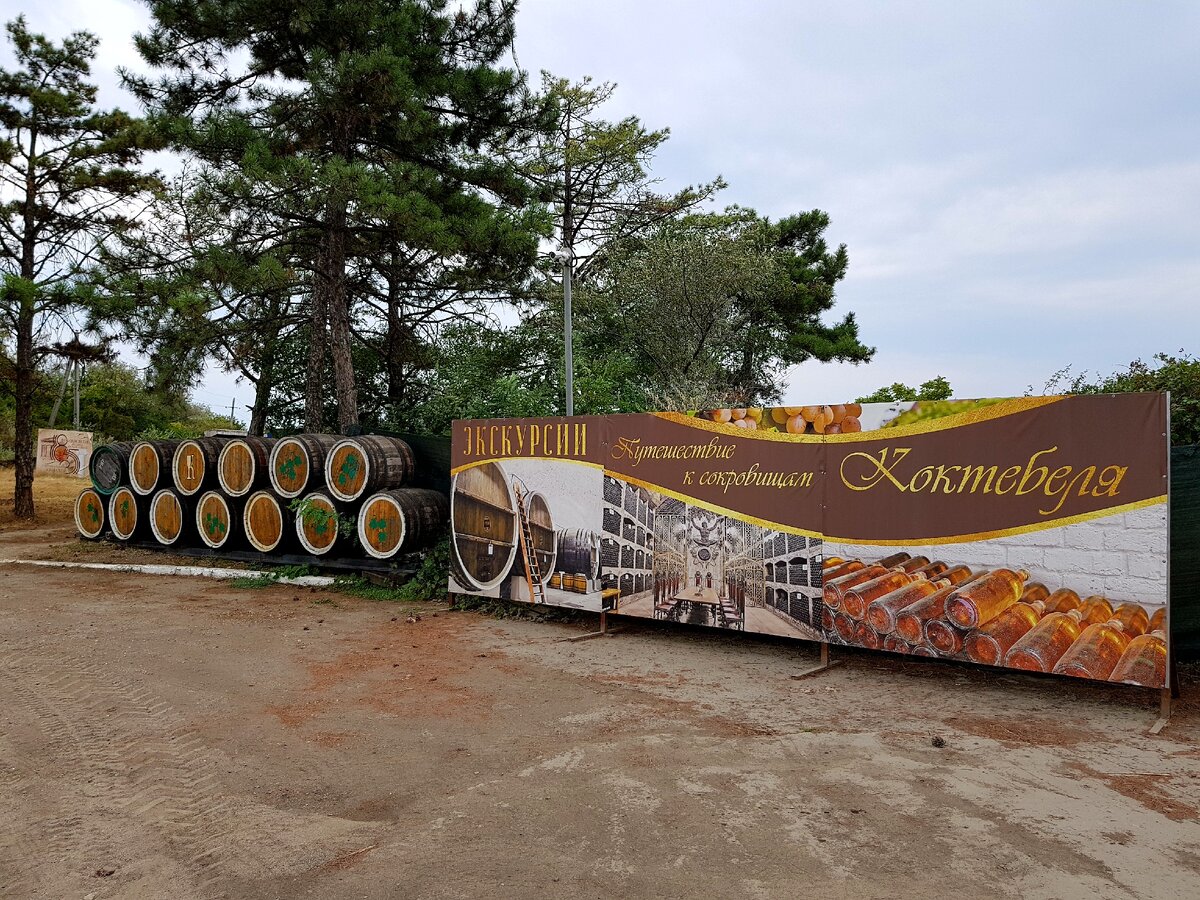 Здесь начинается знакомство с винзаводом