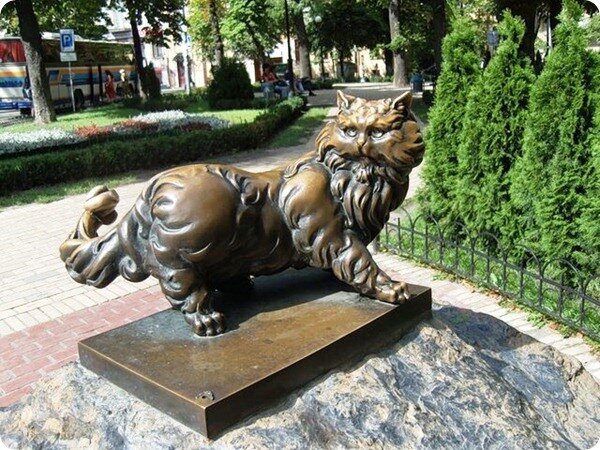 Фото взято с сайта http://www.zoopicture.ru