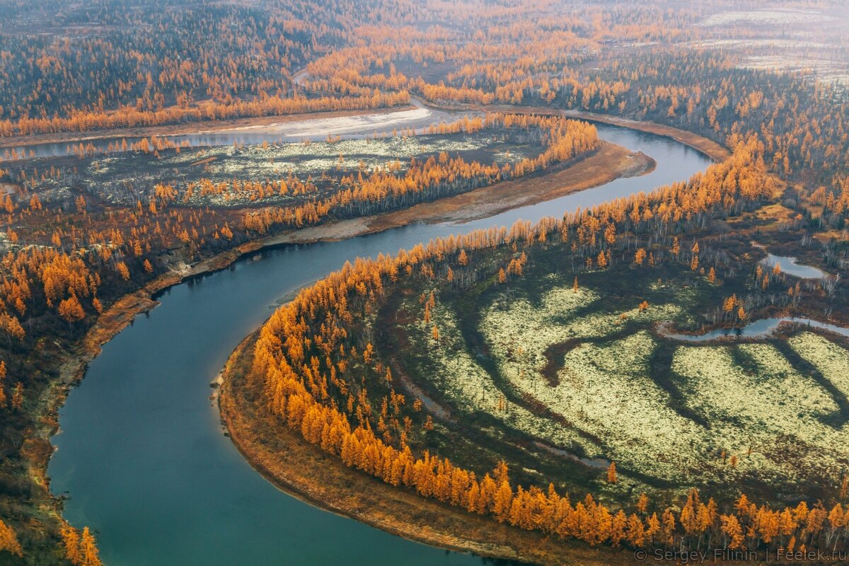 Осенний лес с вертолета