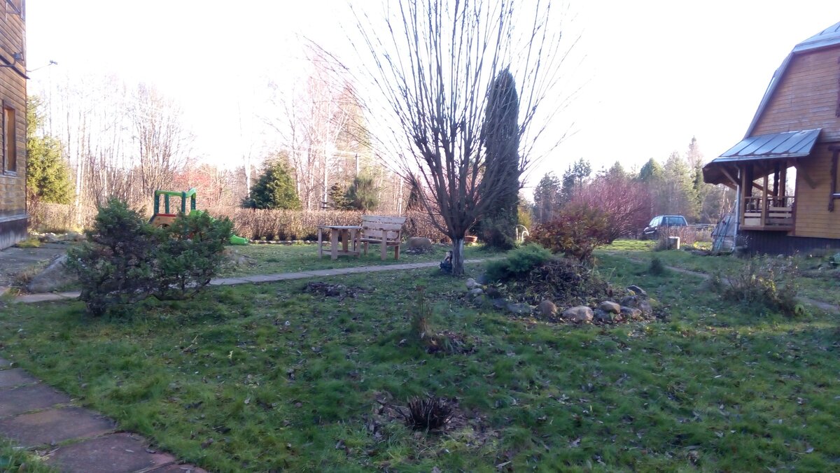 Осень во дворе.