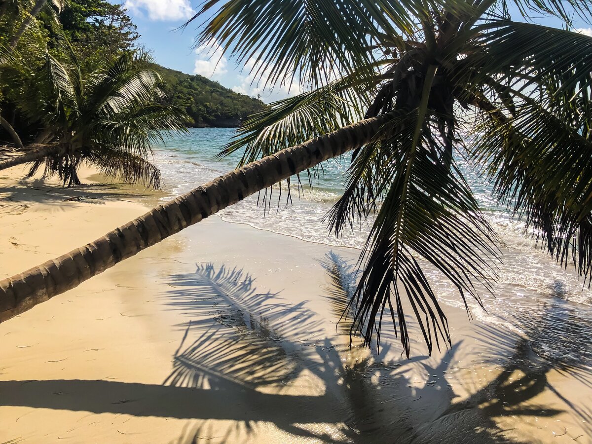 Пляж Manzanillo на острове Провиденсия
