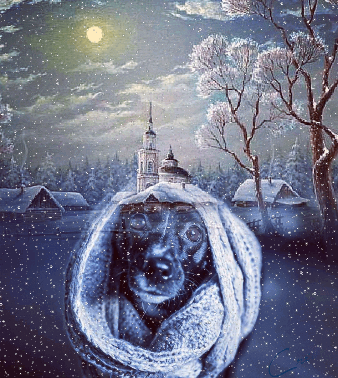 Вечер! На улице -20°!