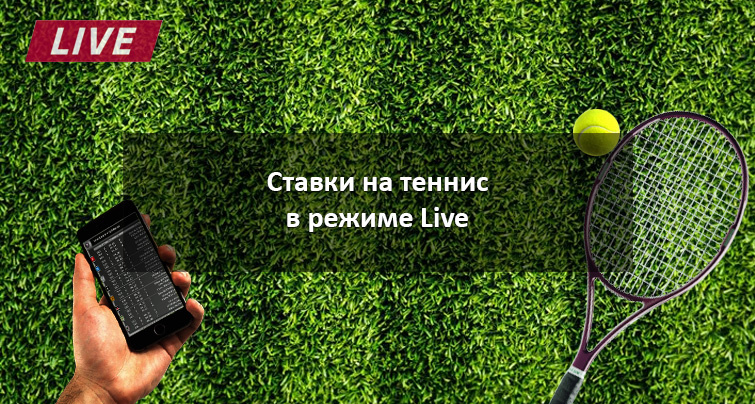 Фото взято из интернета