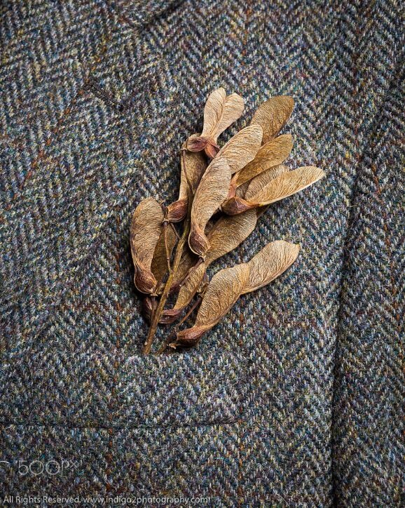 Photo by Paul Indigo 