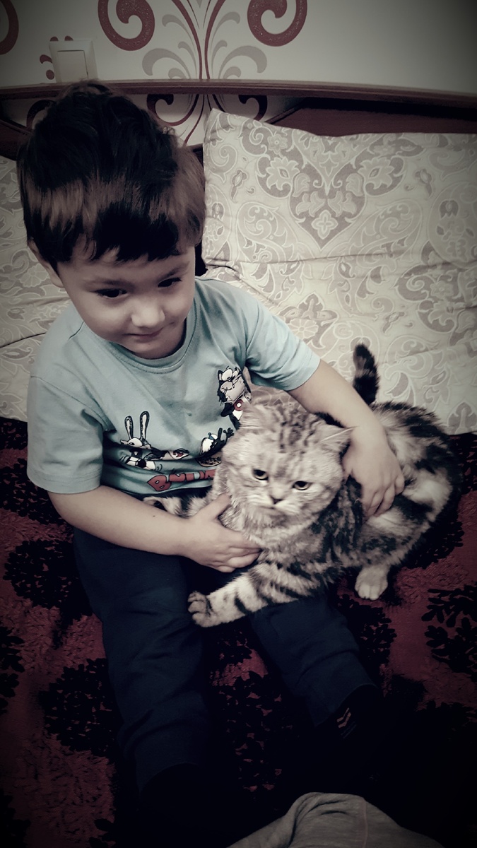 сам пришел и не уходит