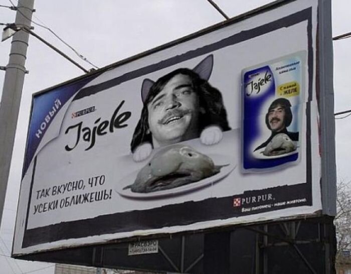 Фото их открытого источника.