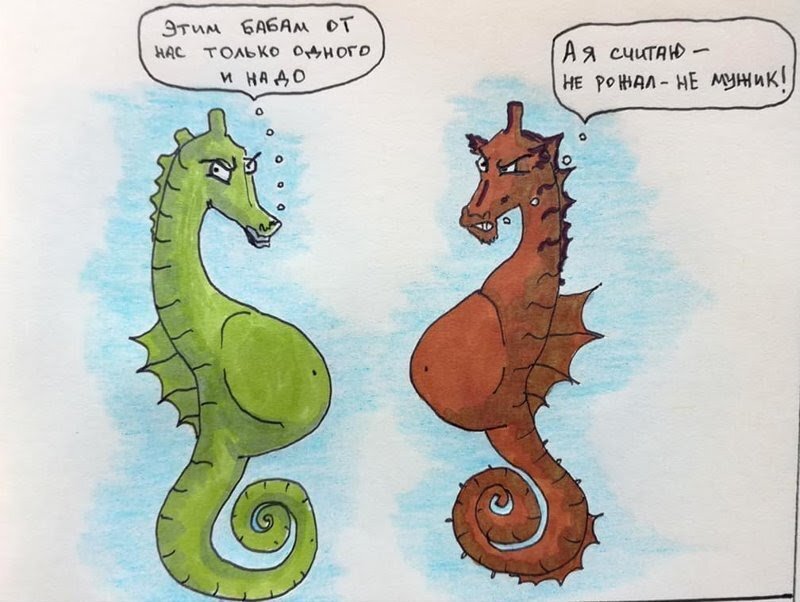 Источник:chrdk.ru