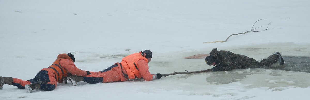 Источник: Яндекс Картинки