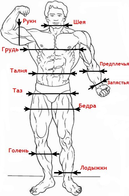 Как увеличить мышцы и прокачать силу, если времени почти нет