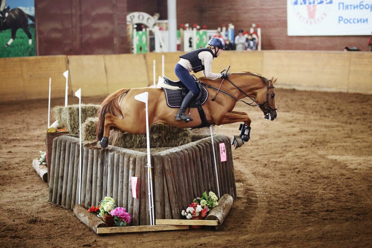 Буденновская лошадь