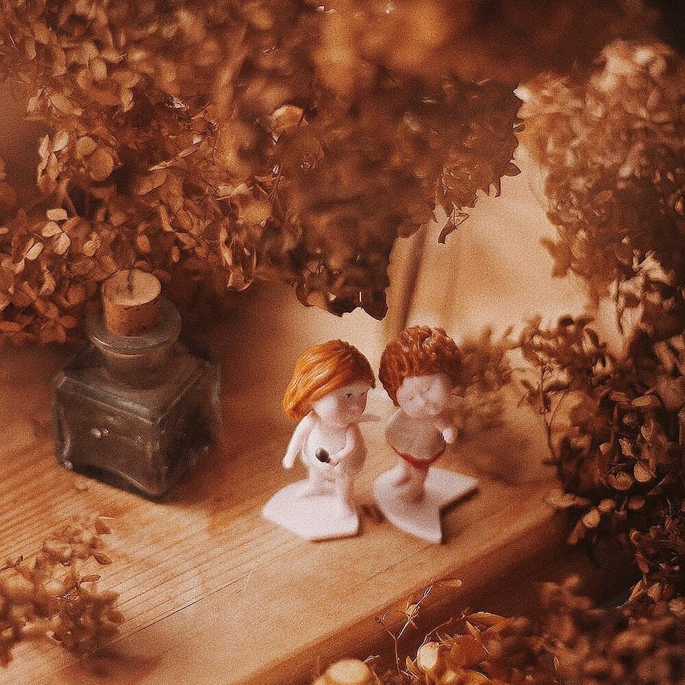 Снято дома на окне