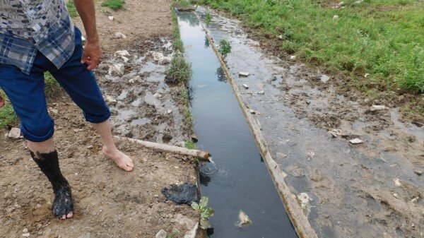  Ишартинский источник начали изучать с 1860- гг.