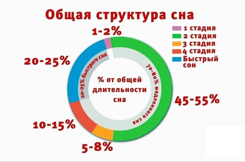 Фазы сна: почему они важны для человека?