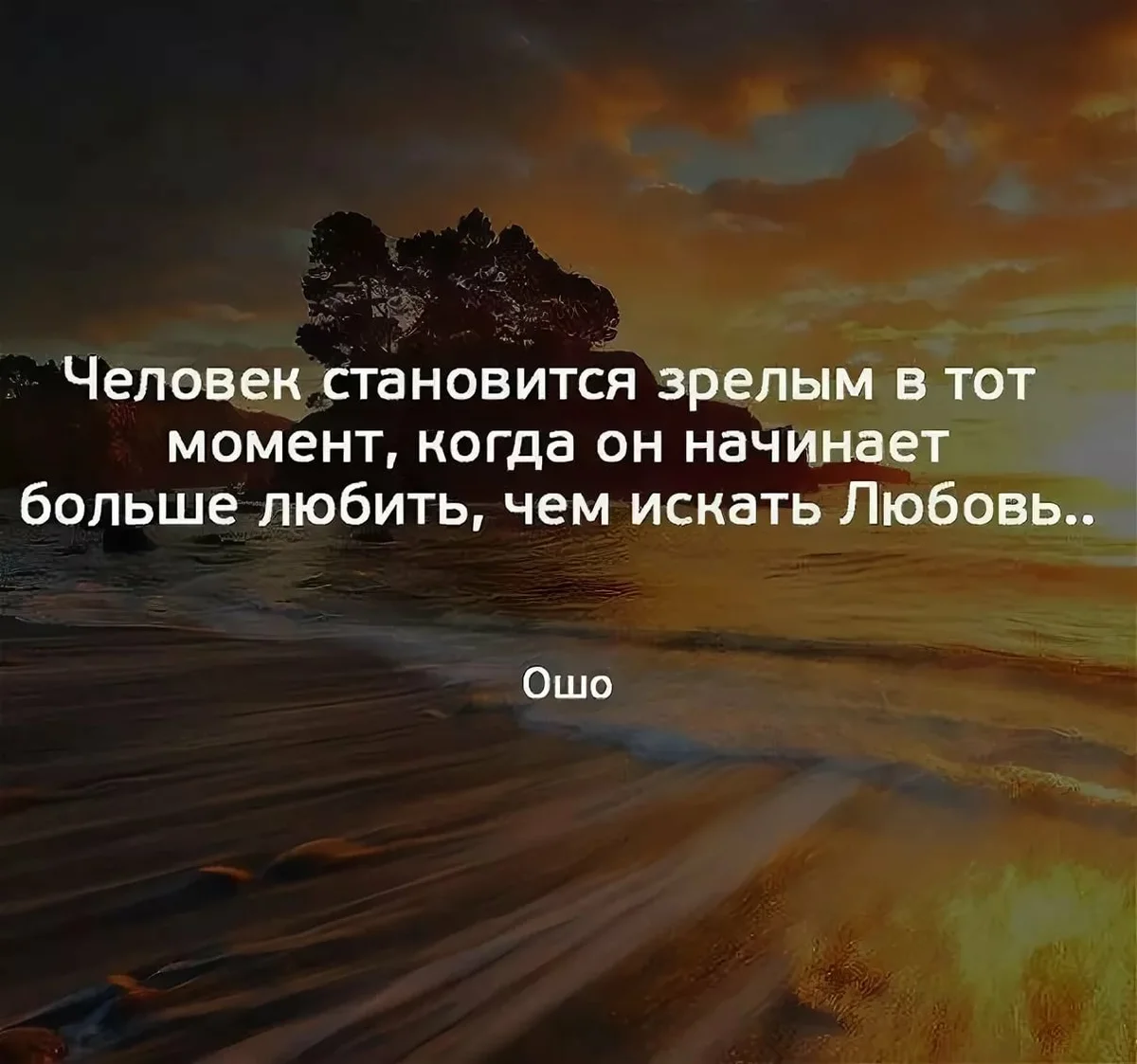 Ошо цитаты. Мудрые мысли Ошо. Ошо цитаты о любви. Ошо цитаты о жизни.