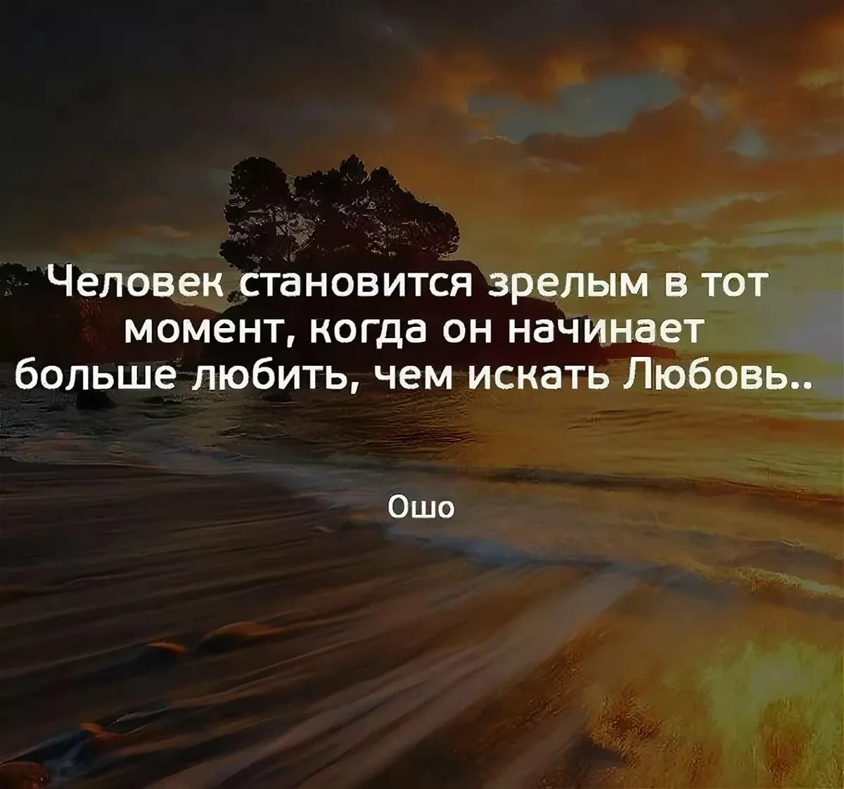 Любовь дает человеку свободу. Ошо цитаты. Ошо цитаты о любви. Ошо высказывания о жизни. Мудрые фразы Ошо.