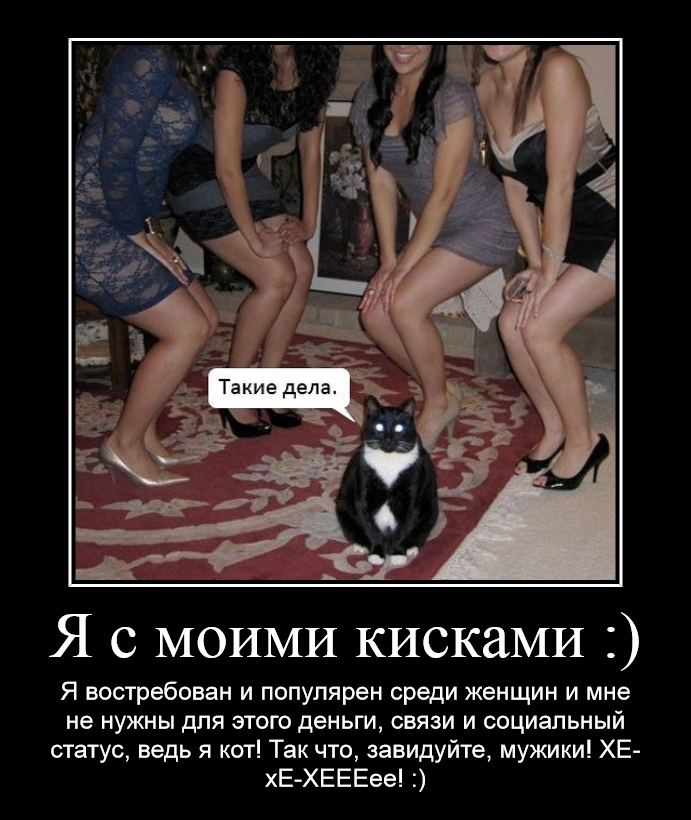 Даааа, братец...Я тебя как никто другой понимаю! Уж мне то грех не знать, как можно увести девушку у своего хозяина и переключить ее внимание на себя! :) Он бесится, пытается запереть меня в комнате, но это не поможет! Ты слышишь меня, двуногий??? Это я к тебе обращаюсь! Отныне и впредь любая женская нога в доме будет моей! ХА! :D