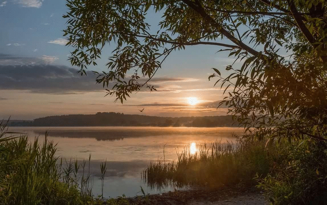 Фото взято из открытых источников