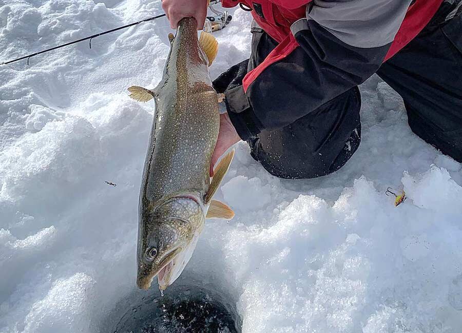 Джиг балансир Tilly длиной 6.4 - 8.9 см - это универсальная приманка, которая разрабатывалась в первую очередь для лова судака, форели, окуня и др.