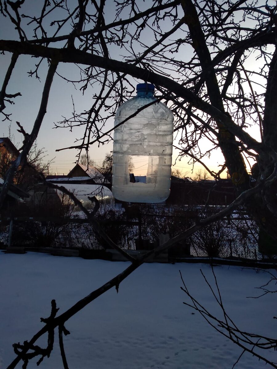 Самая простая кормушка