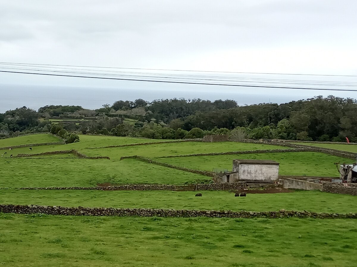 Уютные дома среди зелени Азорских островов