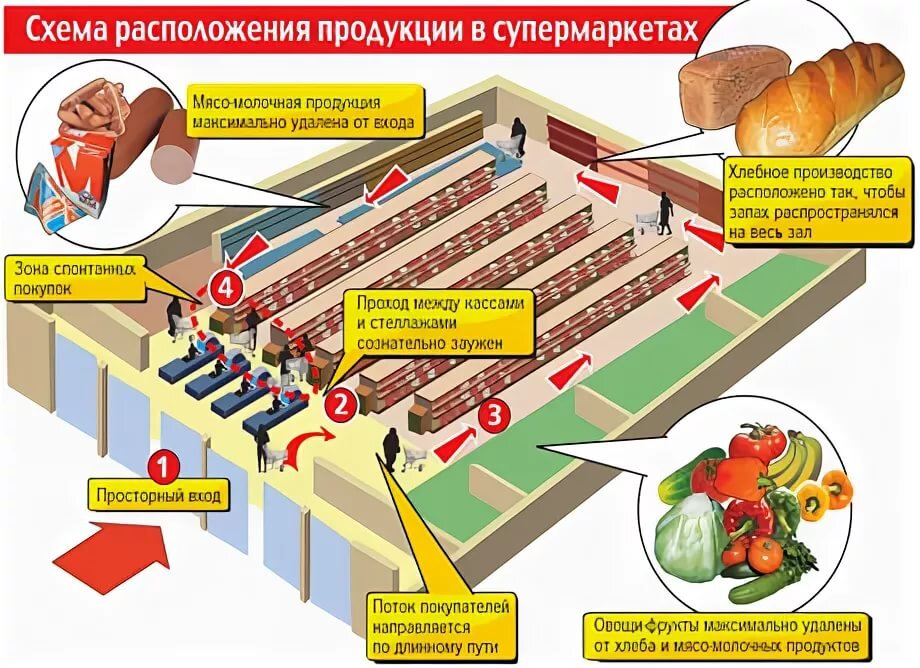 Расположение продуктов в магазине. Расположение товара в магазине. Расположение продукции в продуктовом магазине. Расположение товара в продуктовом магазине.