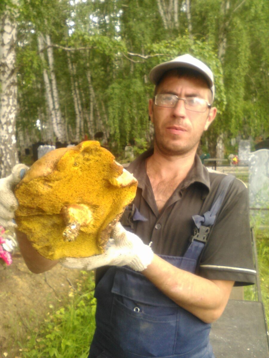 маслёнок, грибы с кладбища, фото автора.