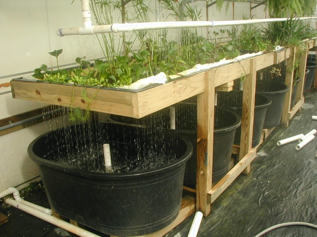 гидропонная установка для выращивания растений