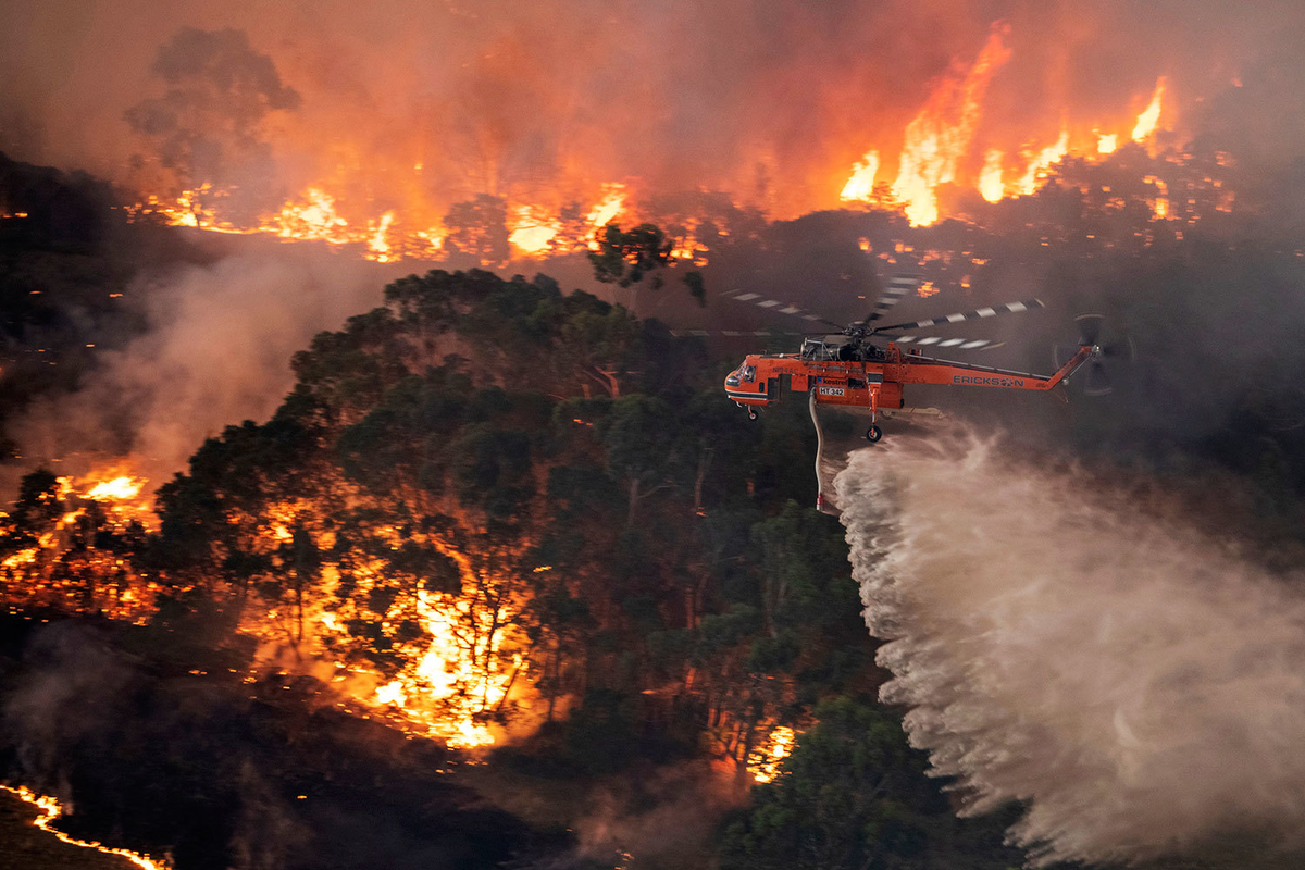 Катаклизмы планеты сегодня. Лесной пожар в Австралии 1983. Лесные пожары в Австралии 2019-2020. Лесной пожар в Австралии в 2020 году. Лесные пожары в Австралии 2019.