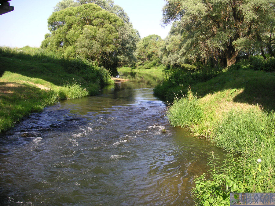 Село речки