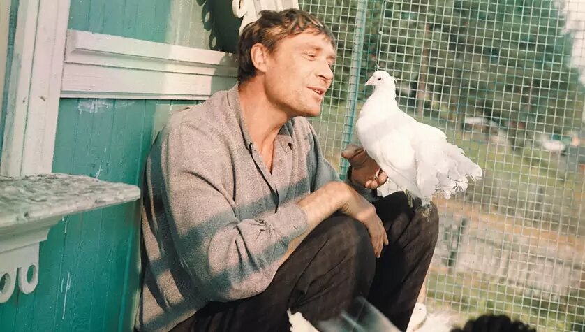 Кадр из фильма "Любовь и голуби"