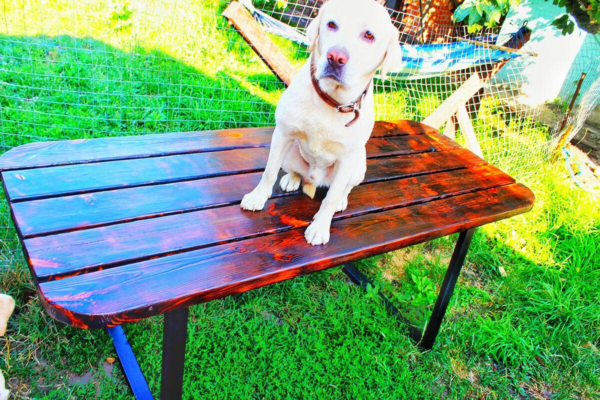 Может быть как на металлических ножках так и на деревянных