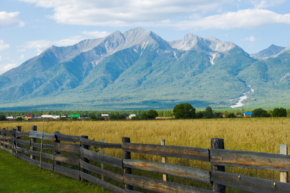 Яндекс.Картинки