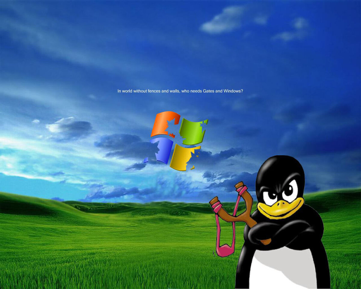 Windows xp на стим фото 60