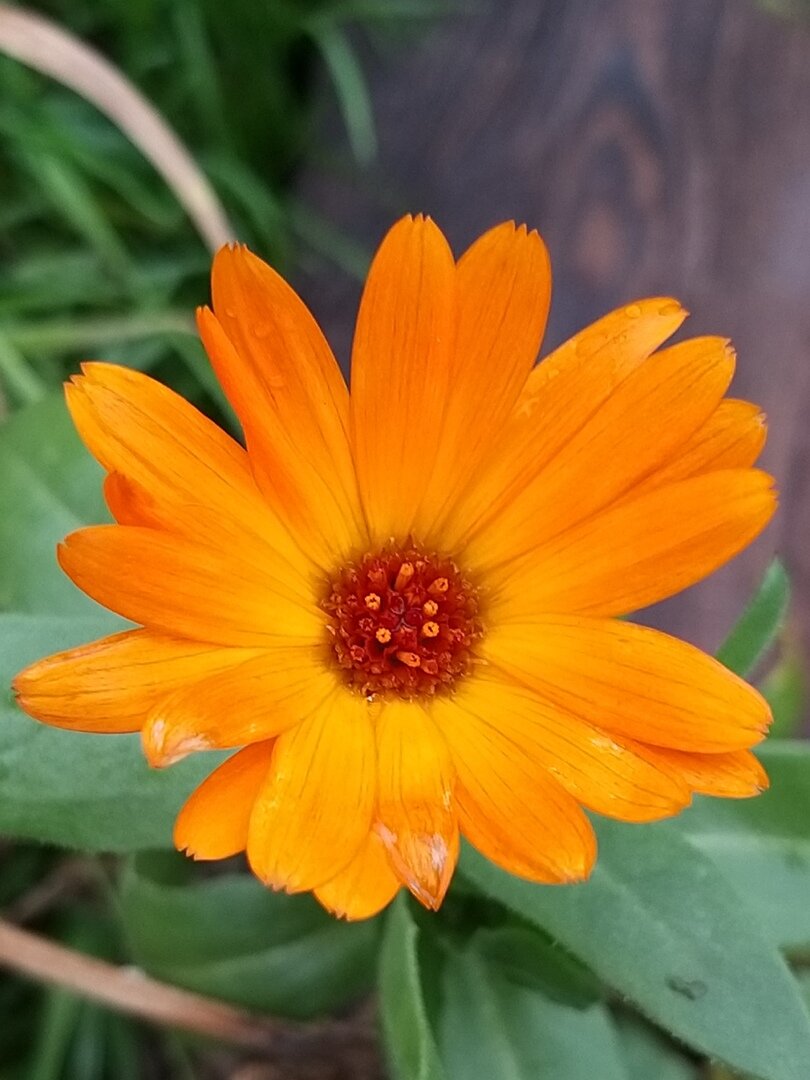 *                                                                                               Фото автора статьи