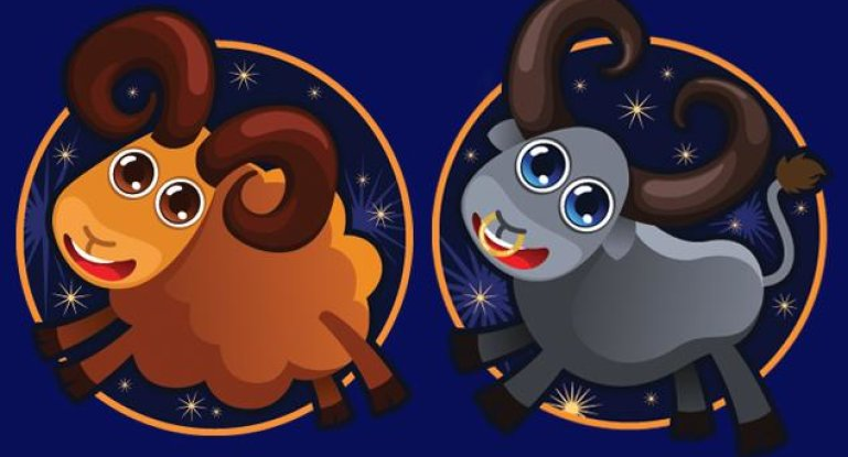 из открытых источников