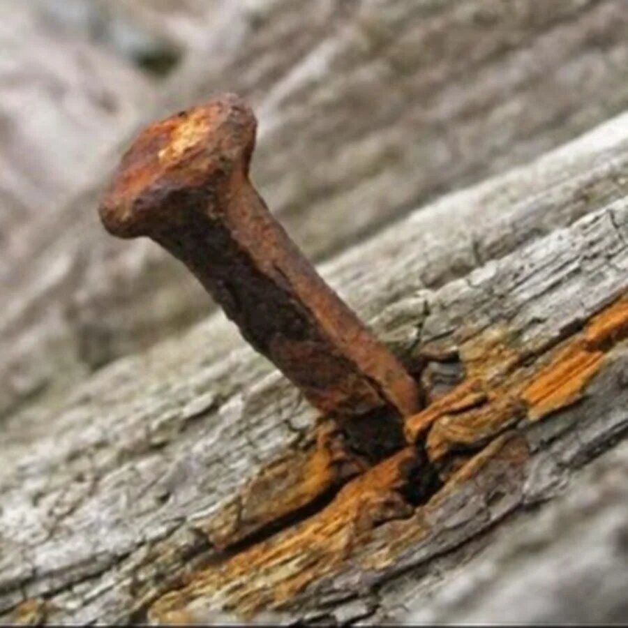 Как повлиять на человека. Волжба на того, кто вам нужен.