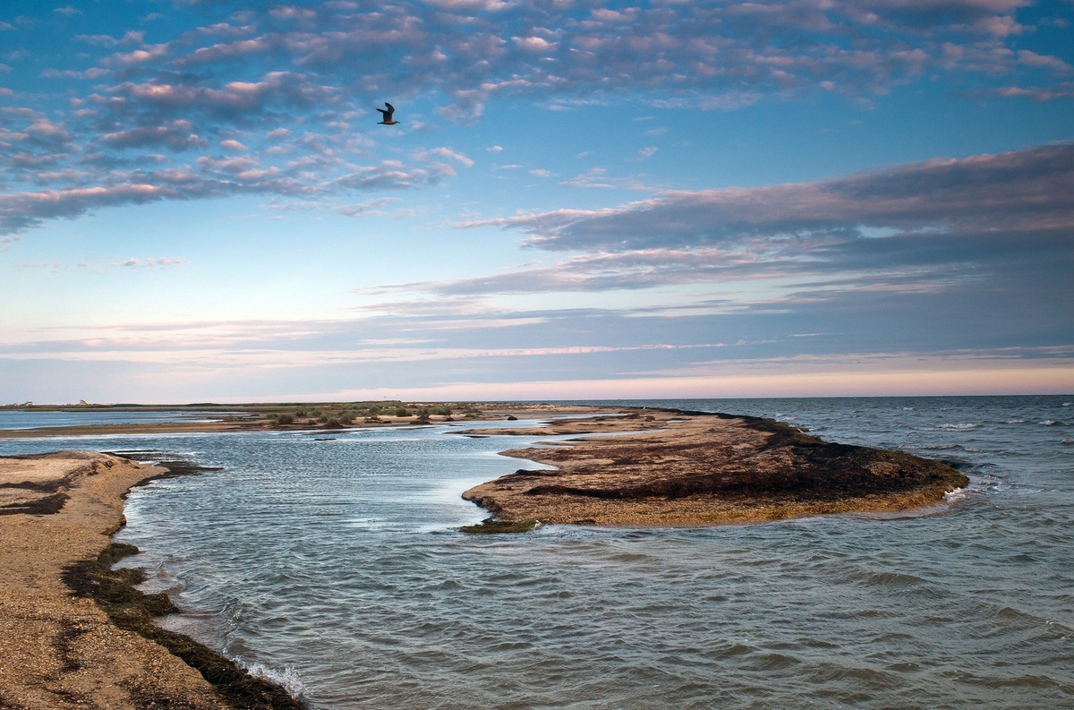 из открытого источника Яндекс.Картинки