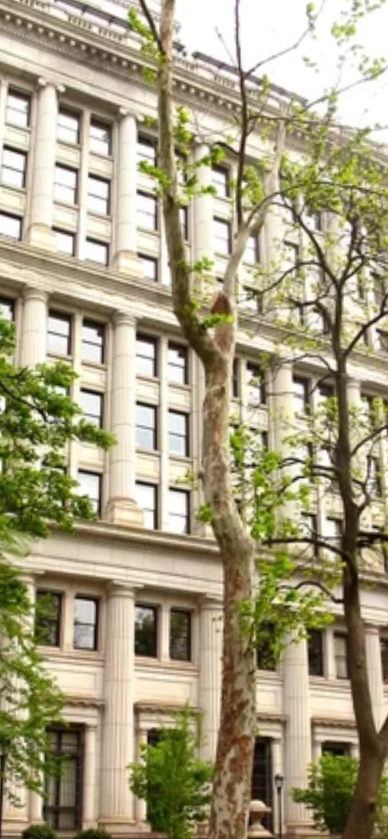 Лунное дерево