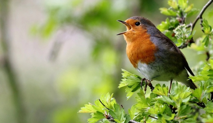 Жизнь кипит.