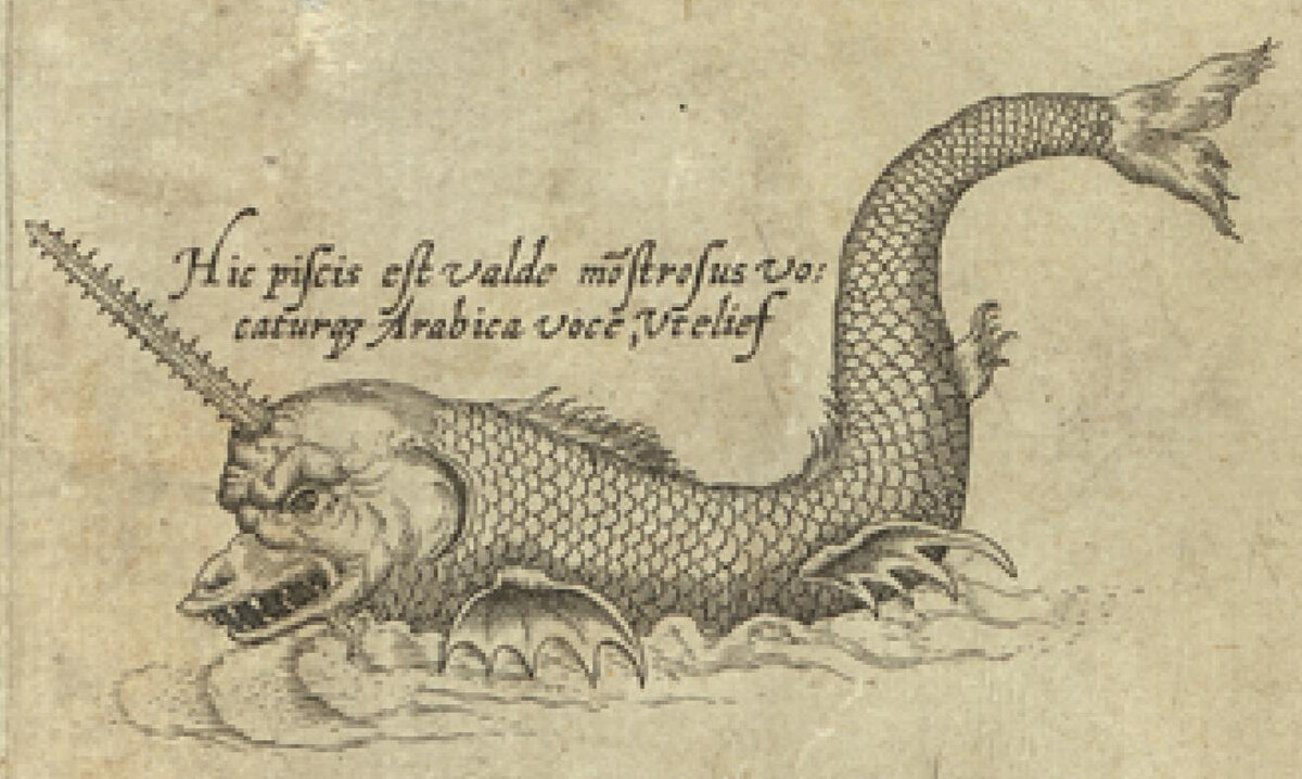 Фантастическое изображение нарвала из «Нового описания Азии» Даниэля Келлера (Антверпен, 1590)