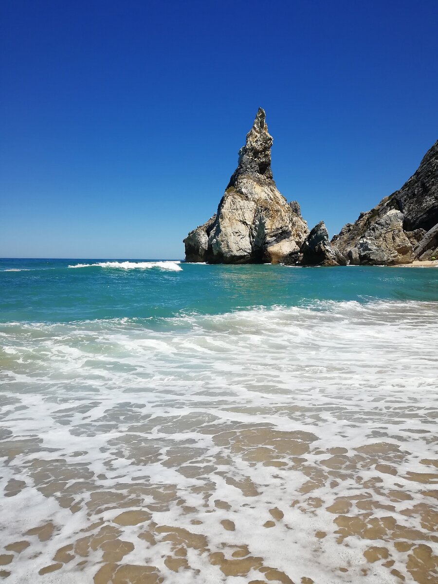 Если вы не видите медведя, свайпните влево. Теперь вы не сможете его развидеть