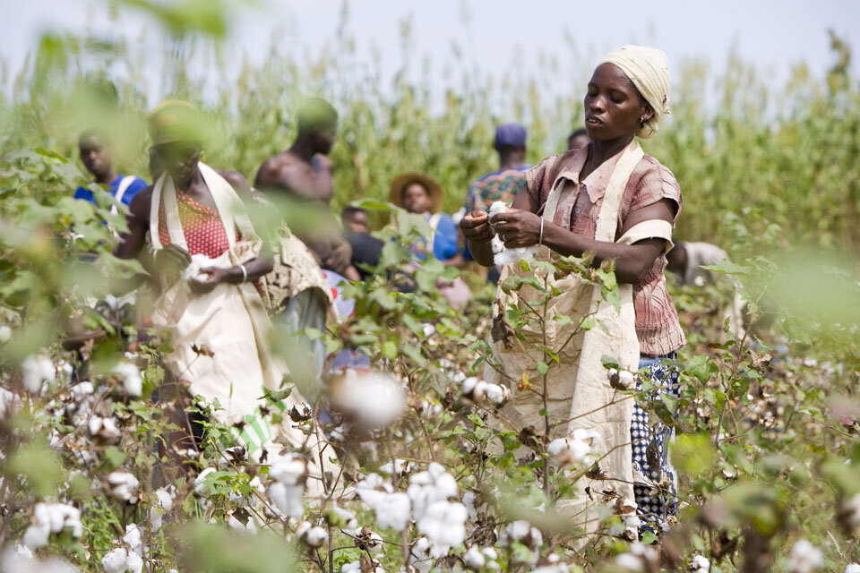 https://www.cottonmadeinafrica.org/images/article_images/materialen_images/pr-photos/bestebilderbenin%20-%20die%20initiative.jpg
