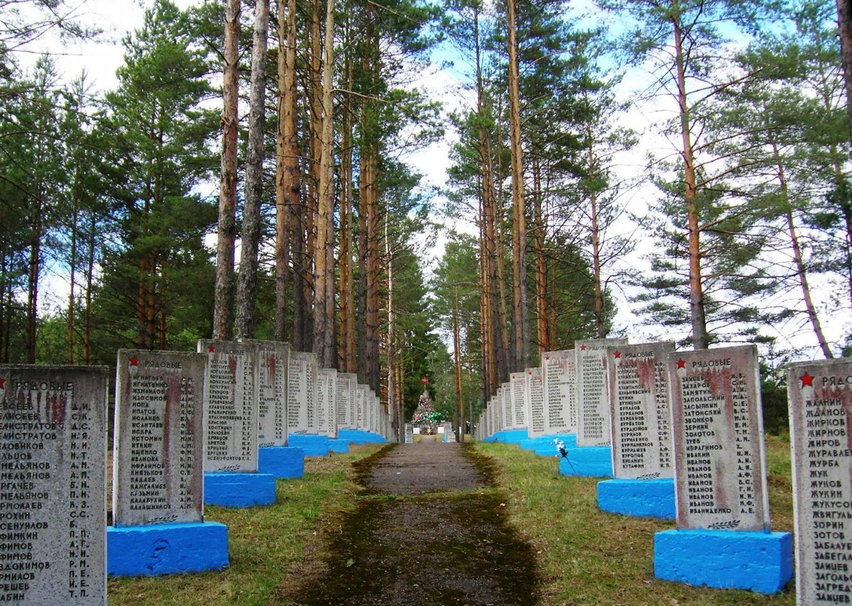 Невельский р н. Невельский р н. Псковская область, невельский р-н, д. Деревня невель псковская область. , невельский р-н, д.