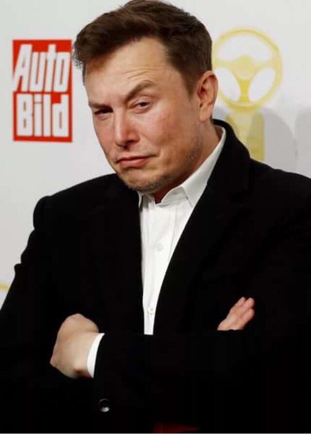 Илон Маск-долларовый миллиардер.