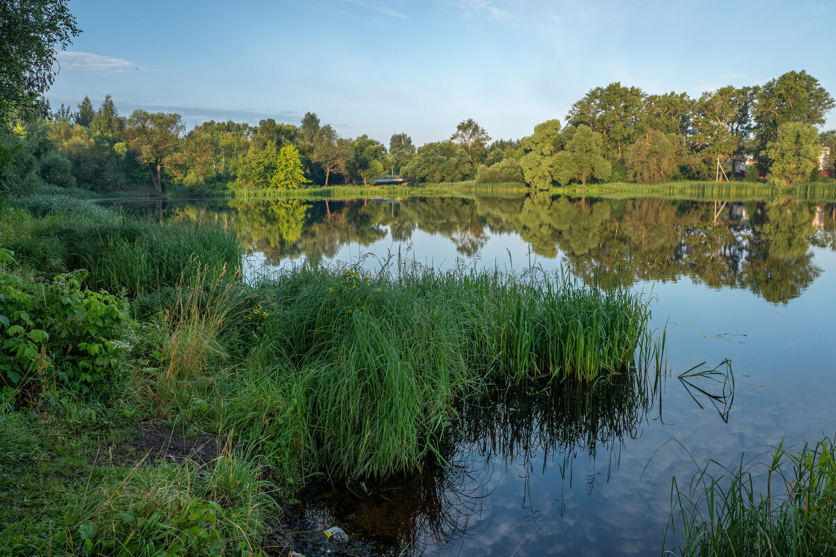 ТАМ В ЗАРОСЛЯХ ПРЯЧУТСЯ УТОЧКИ