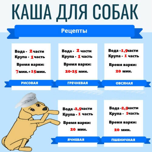 Рецепты для собак на каждый день