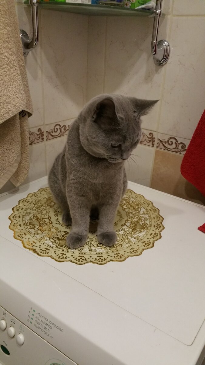 Тимон